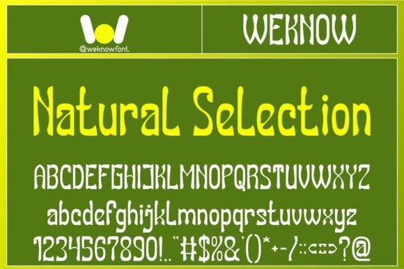 Natural Selection Font for Handmade Brands